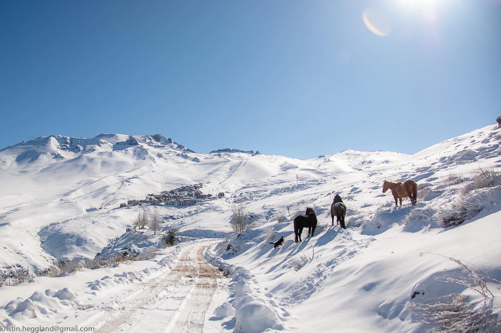 Lodge Cordillera Valle Nevado Eksteriør bilde
